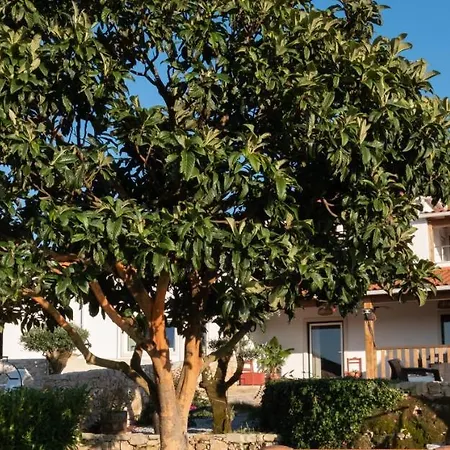 Сasa de vacaciones Casas Alfaiate